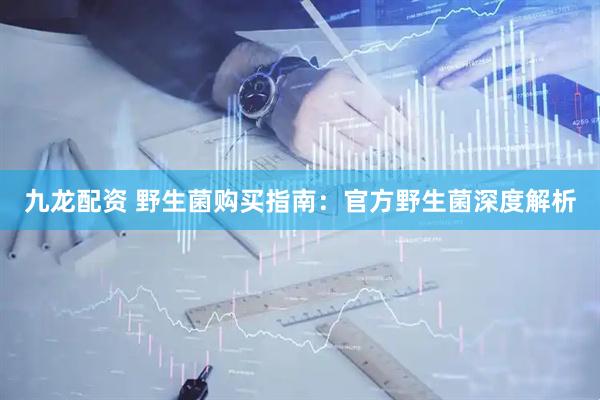 九龙配资 野生菌购买指南：官方野生菌深度解析